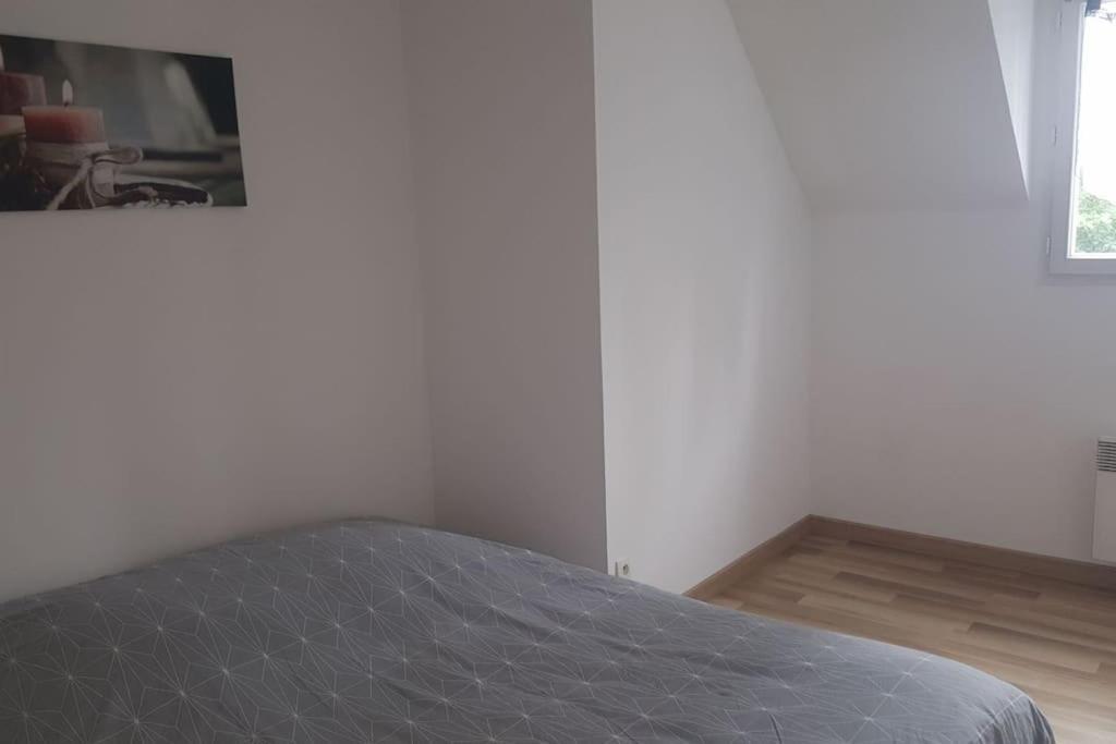 Logement Plein Centre De Plerin A Proximite Des Plages Et Des Commerces 外观 照片