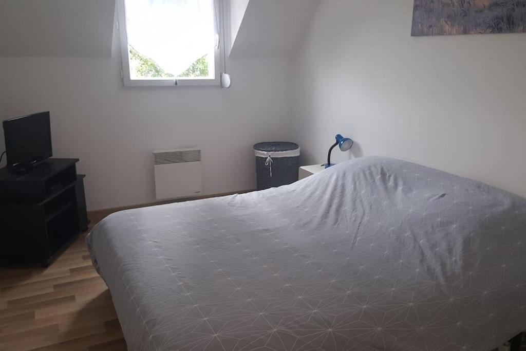 Logement Plein Centre De Plerin A Proximite Des Plages Et Des Commerces 外观 照片